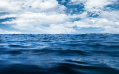 Lost in a sea of high achievers